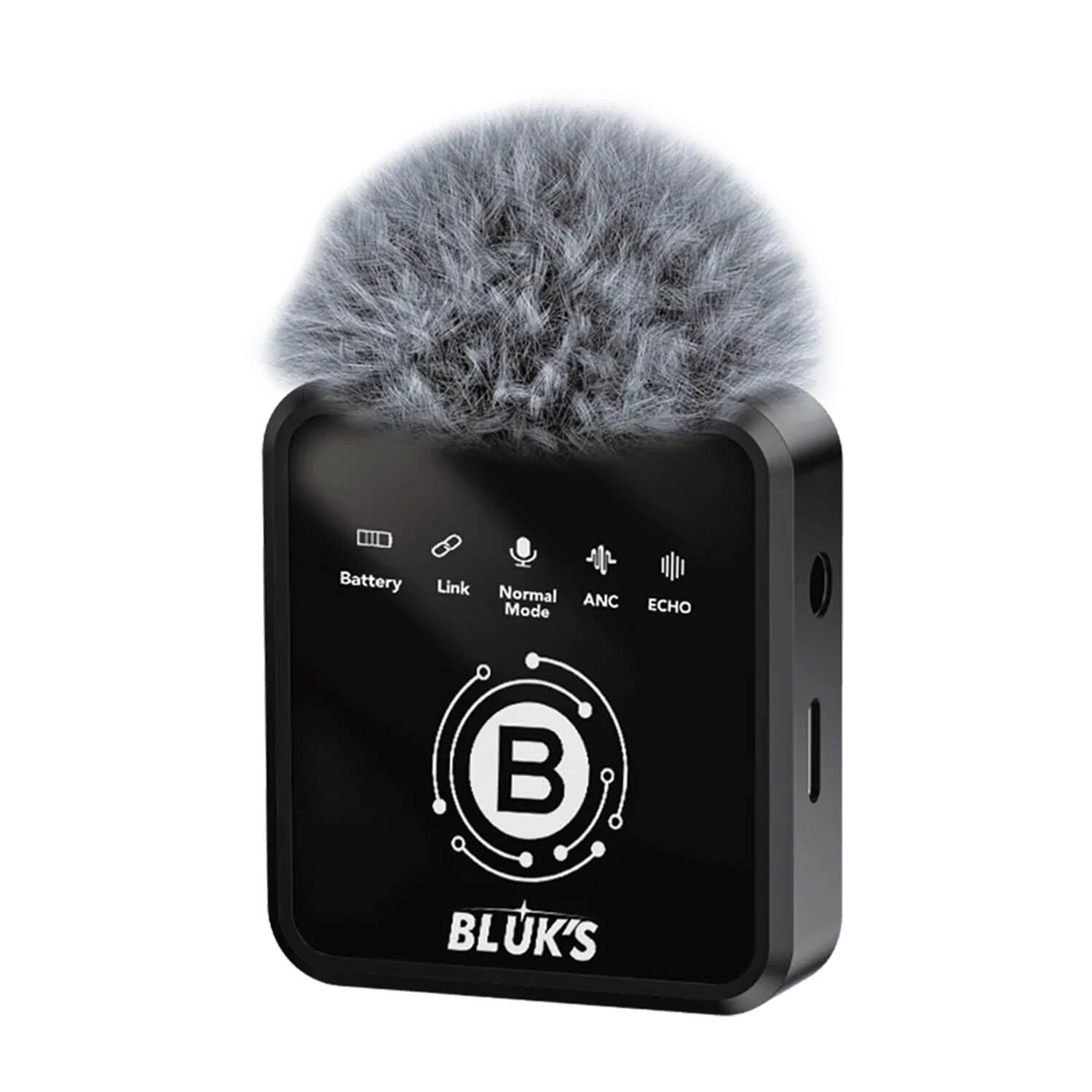 BX-17 Wireless Microphone